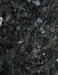 M�rk labrador